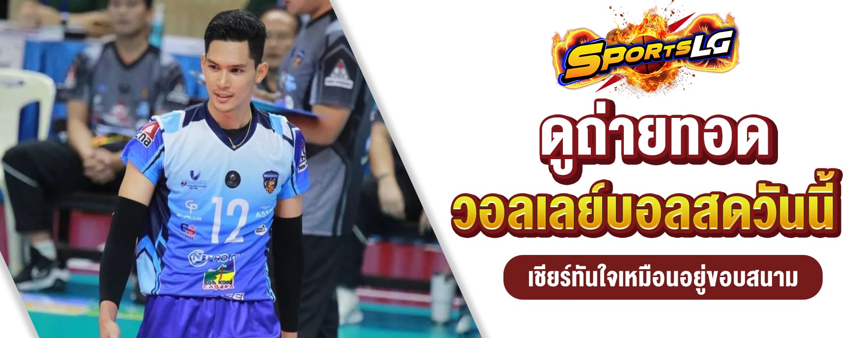 ดูวอลเลย์บอลวันนี้