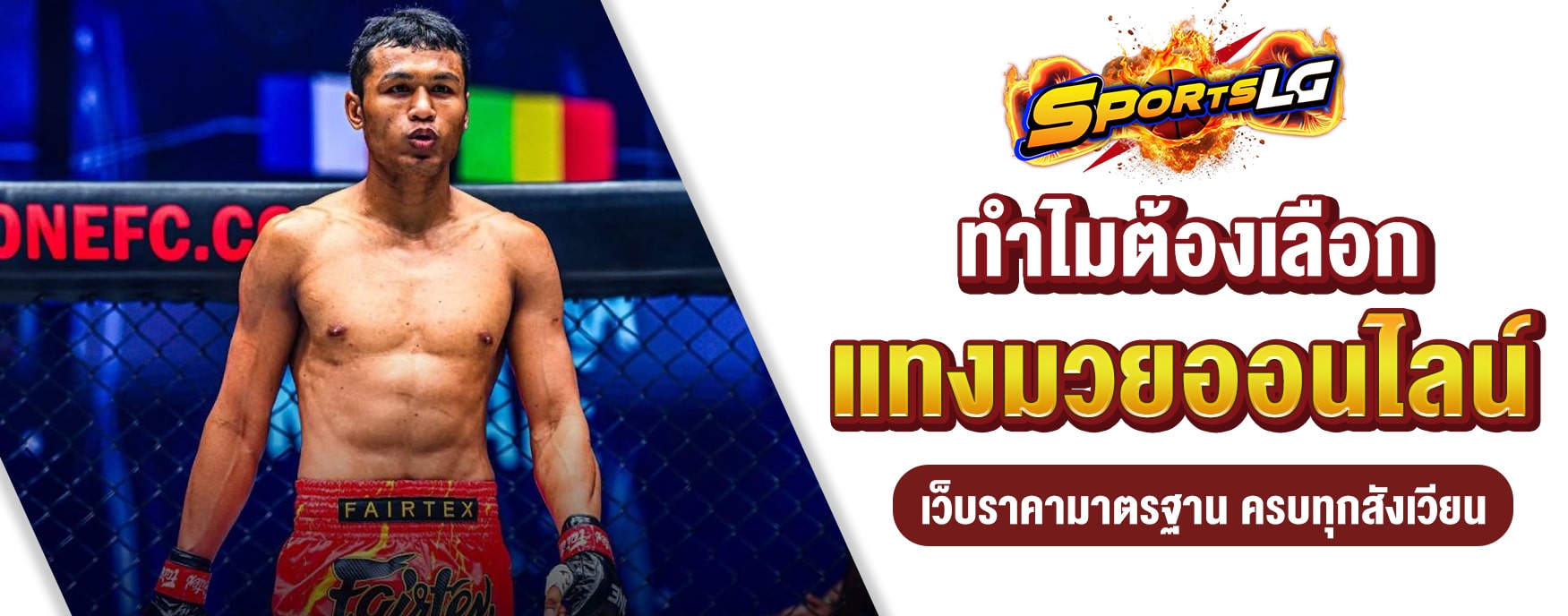 เว็บแทงมวย
