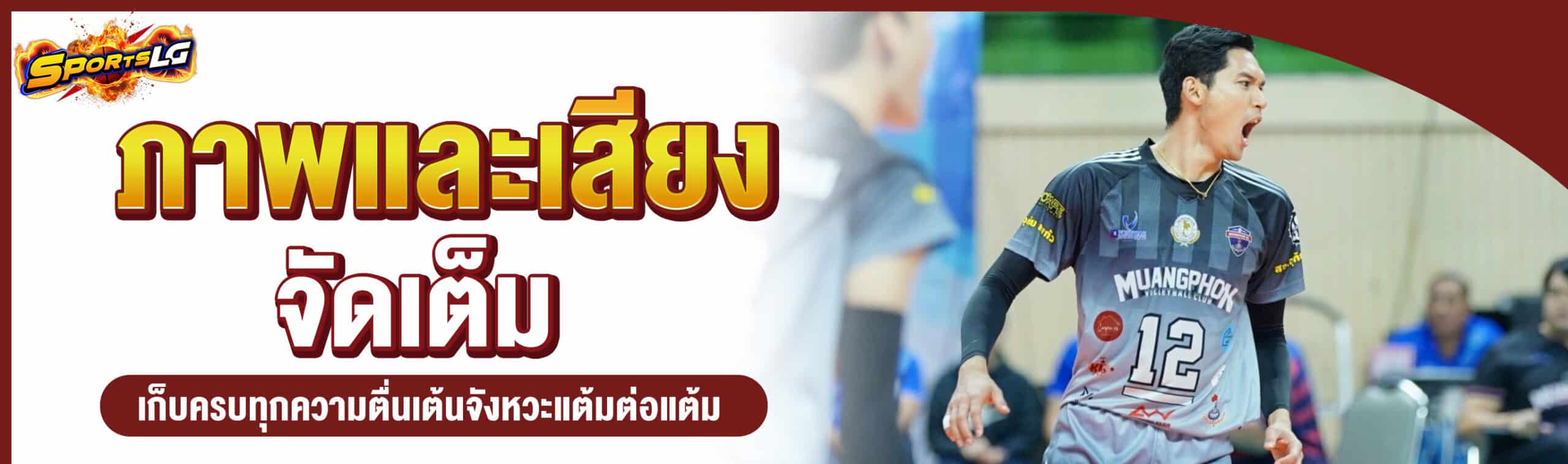 ดูวอลเลย์บอลวันนี้