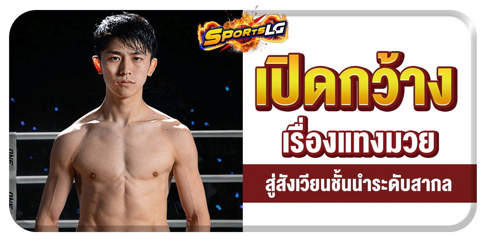 มวยสเต็ปเล่นยังไง