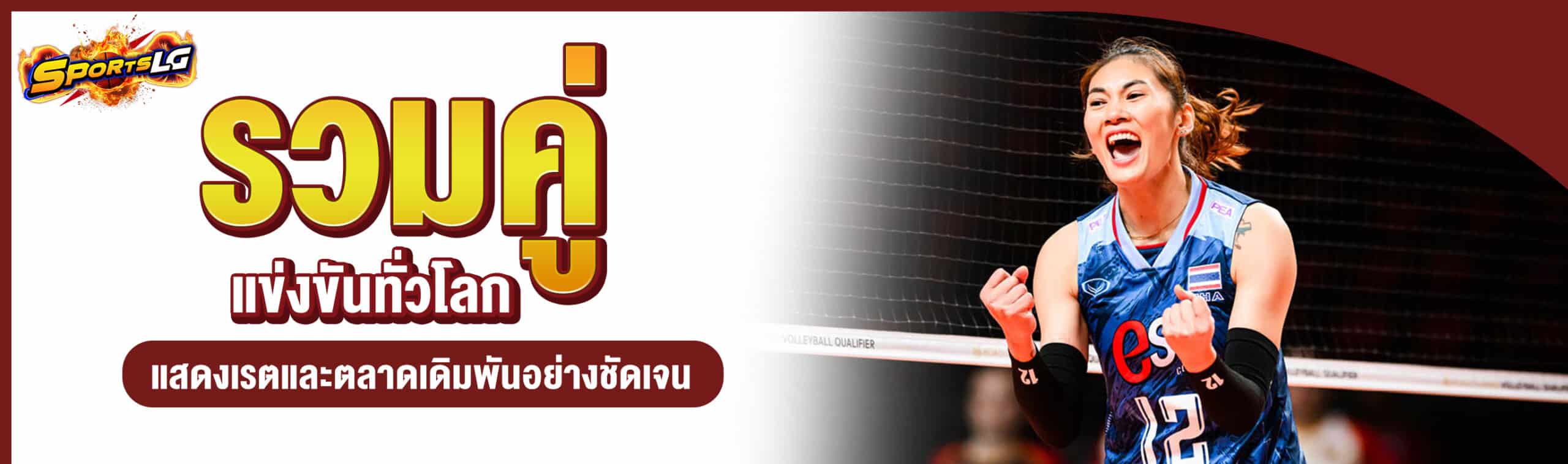 พนันวอลเลย์บอล