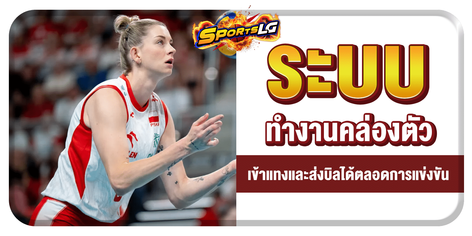 พนันวอลเลย์บอล